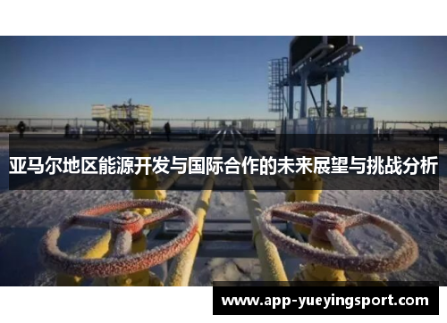 亚马尔地区能源开发与国际合作的未来展望与挑战分析